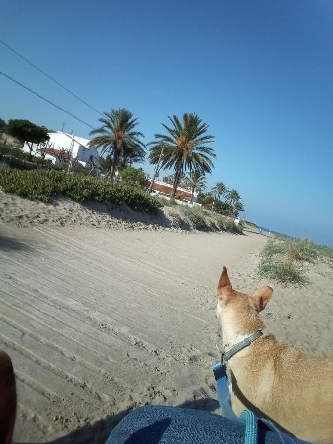 El Rincon De Denia - Paraiso Del Sol Exteriér fotografie